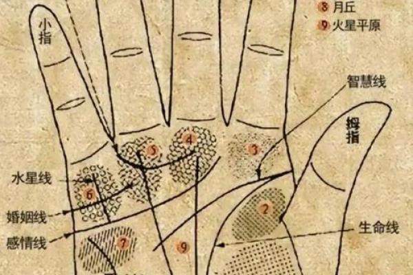 凯帝阿手相算命图解大全04 凯帝阿手相算命图解大全04