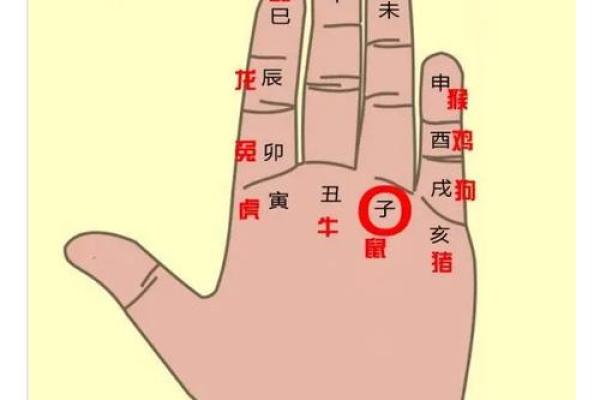 凯帝阿手相算命图解大全04 凯帝阿手相算命图解大全04