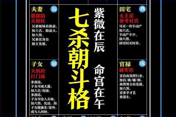 倪海厦天纪紫薇斗数排盘 倪海厦天纪紫薇斗数排盘