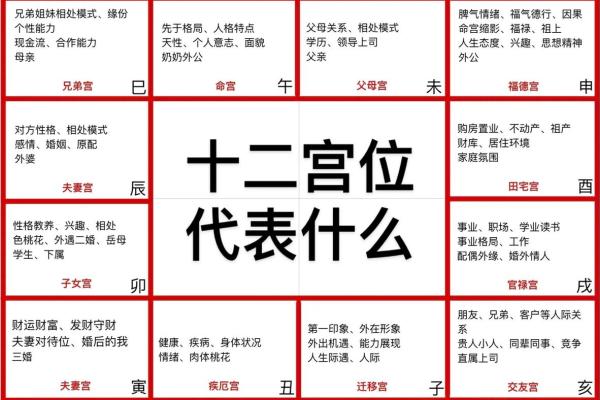 紫薇斗数贪狼在命宫