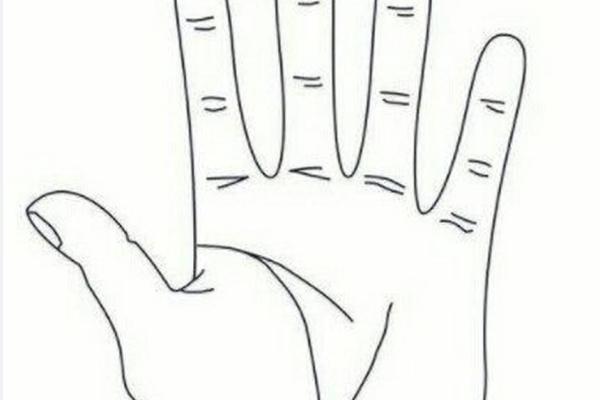 五指长短算命 五指长短算命