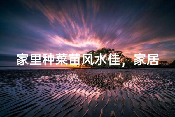 新房子前面种菜可以吗风水 新房子前面种菜可以吗风水