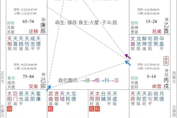 天府紫薇斗数 天府紫薇斗数