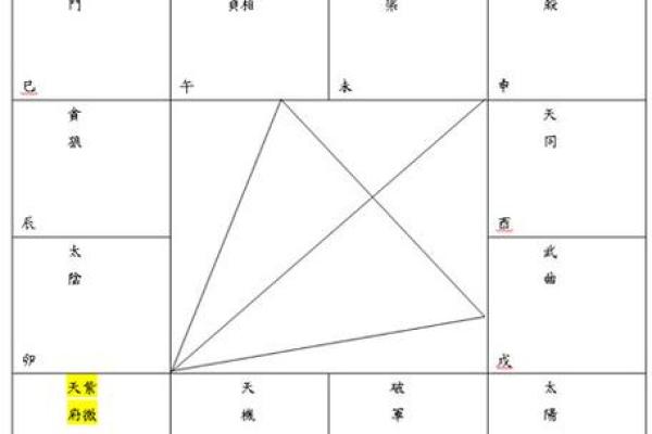 天府紫薇斗数 天府紫薇斗数