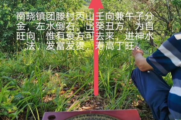 风水坟后多少米为靠山有助于吸取财气 风水坟后多少米为靠山有助于吸取财气