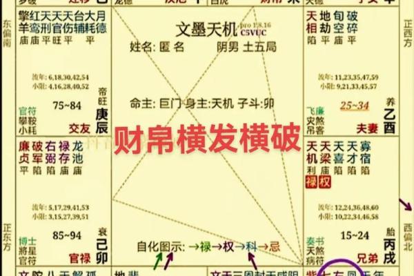 紫微斗数的卯宫是哪个方位 紫微星在卯宫的命盘的特点？