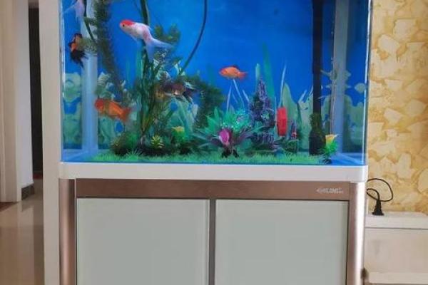 风水鱼缸_鱼缸放在床尾好吗 风水鱼缸_鱼缸放在床尾好吗