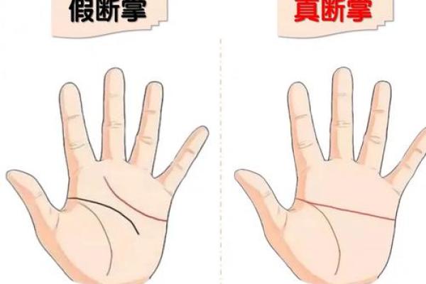 断掌纹看相算命图解