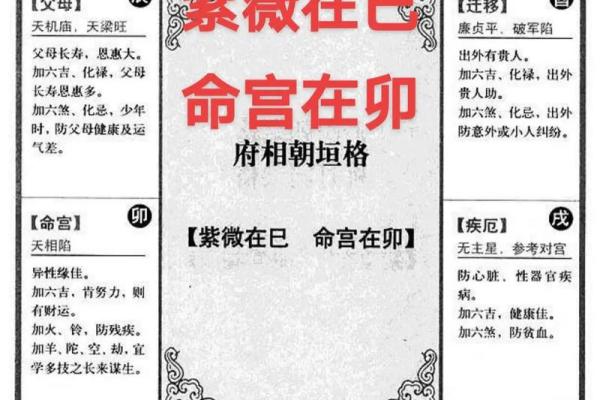 紫薇斗数紫薇在命 紫薇斗数紫薇在命