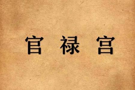 紫薇斗数事业宫有天姚