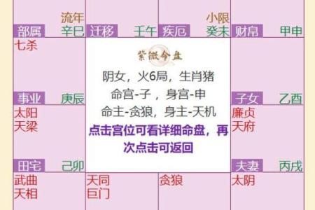 紫薇斗数怎么看财运