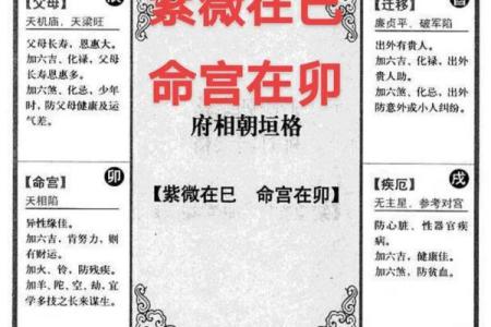 紫薇斗数紫薇在命