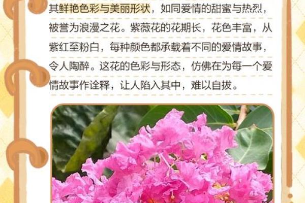 紫薇星明什么意思 紫薇星明什么意思