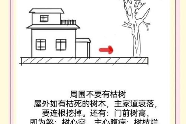 房子建在老路上风水好吗