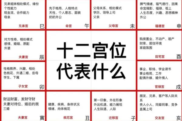 紫薇斗数夫妻宫代表