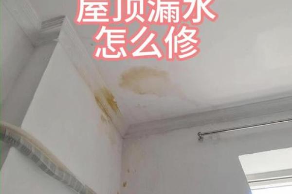 新装的房子屋顶漏水了风水