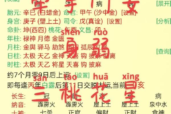 亥时出生不需要算命 这个时辰出生好不好 亥时出生不需要算命 这个时辰出生好不好