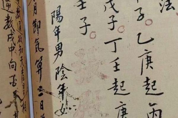 八字算命的书籍 八字算命的书籍