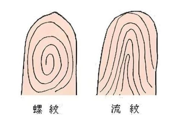老人说-“十指无斗全簸箕，此生有财无处去”，数数你手上有几个