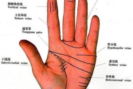 男人手相算命图解揭密男人命运