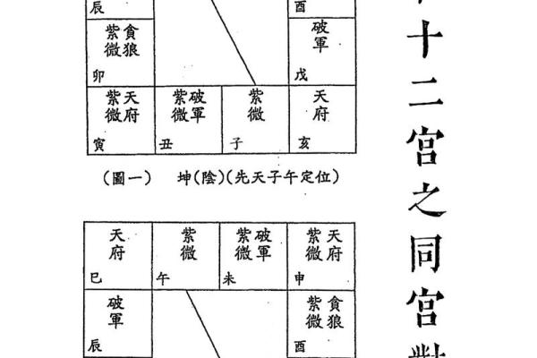 紫薇斗数免费排盘测试 紫薇斗数免费排盘测试