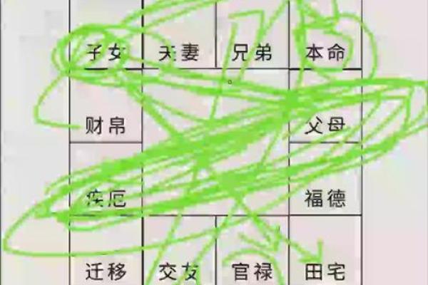 紫薇星七杀星入官禄宫