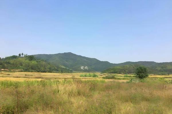 地势洼的房子风水 地势洼的房子风水