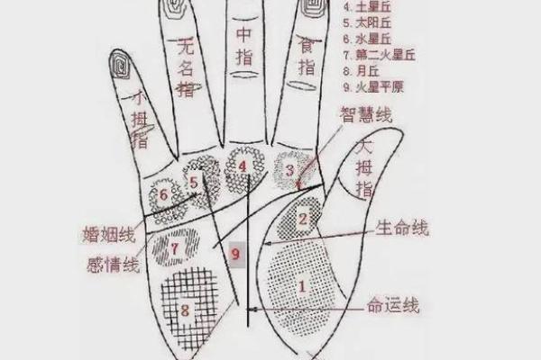 图解:手相金星环算命 图解:手相金星环算命