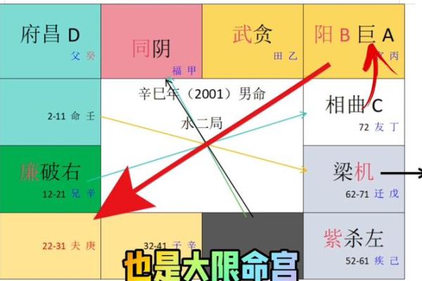 紫微斗数案例42财官:如此命盘,你将获得一张顶级财运体验卡 紫微斗数案例42财官:如此命盘,你将获得一张顶级财运体验卡