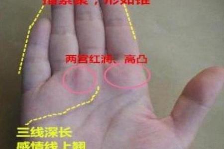 风水观点女子右手假断掌手相解析