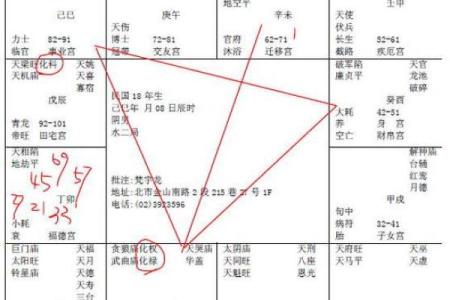 紫薇斗数巨富的条件
