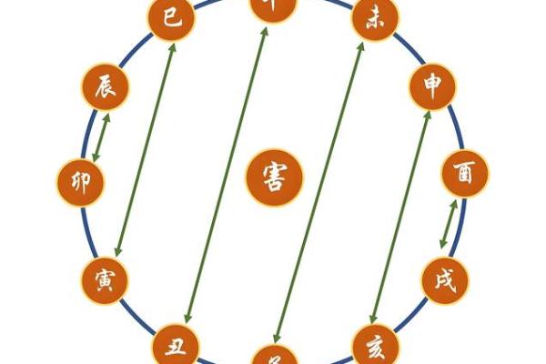 八字十二地支详解 八字十二地支详解