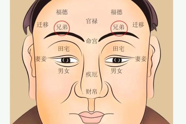 八字眉的男人命运 八字眉的男人命运