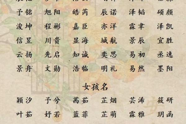 宝宝起名八字 宝宝起名八字