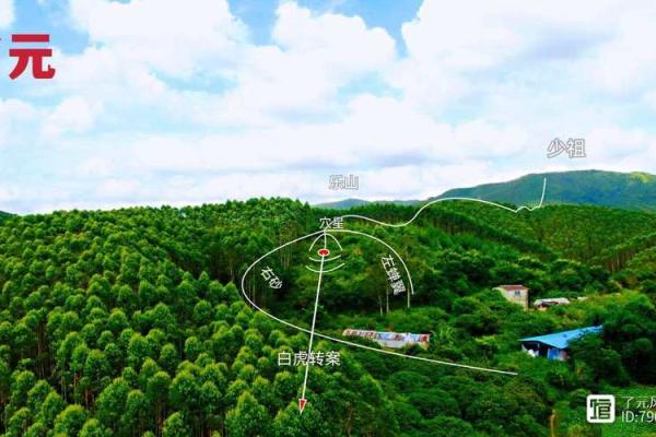 常见风水阴宅 常见风水阴宅