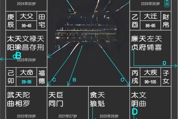 紫薇斗数事业详细解释 紫薇斗数事业详细解释