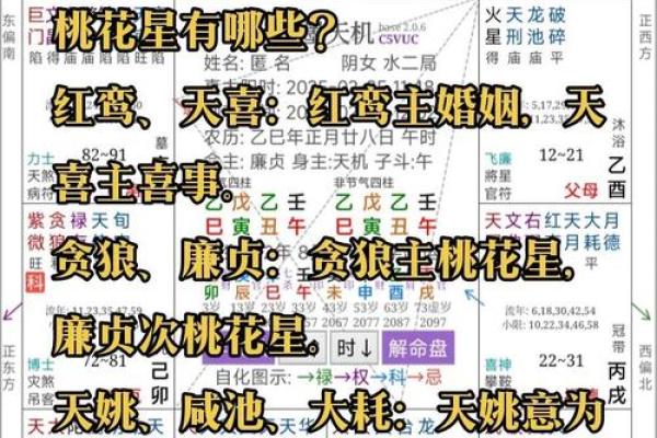 紫薇斗数看名气