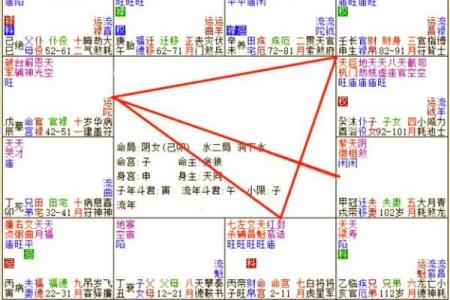 女命紫薇斗数夫妻宫贪狼