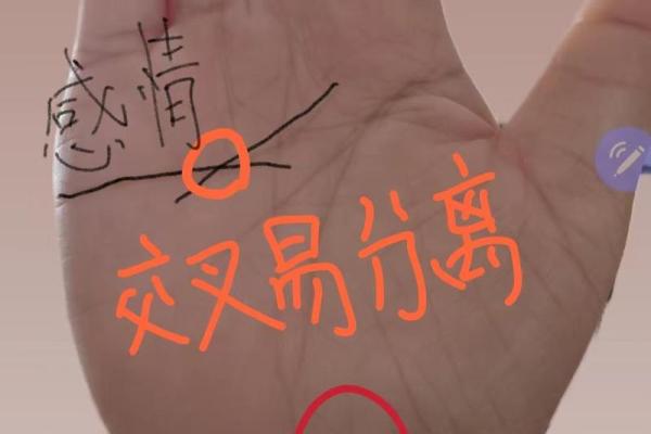 断掌算命,断掌上面还有感情线