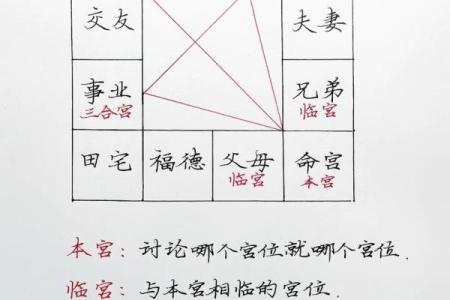 紫薇斗数中同度什么意思