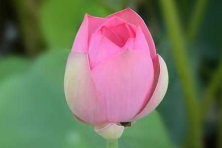 唐艺尹老师传统八字实例分析：漂泊无居的生辰八字