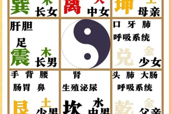 怎么看手相女八字命理详解 怎么看手相女八字命理详解