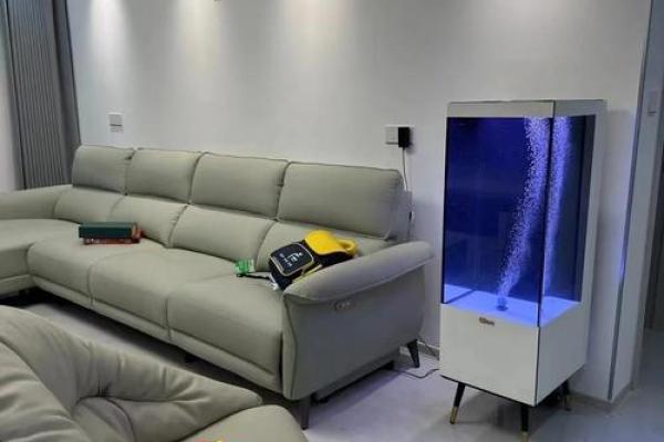 家中养鱼6大风水禁忌客厅鱼缸怎么摆放旺财示意图 家中养鱼6大风水禁忌客厅鱼缸怎么摆放旺财示意图