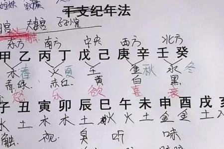 八字有贵气命局怎么看