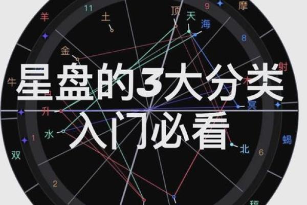 年紫薇星盘查询