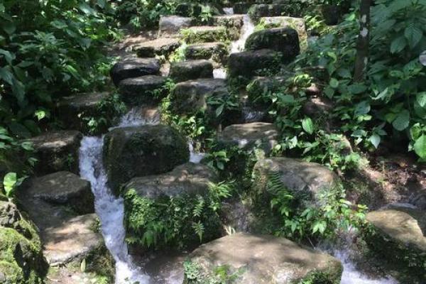 算命的说小孩扎根在水中