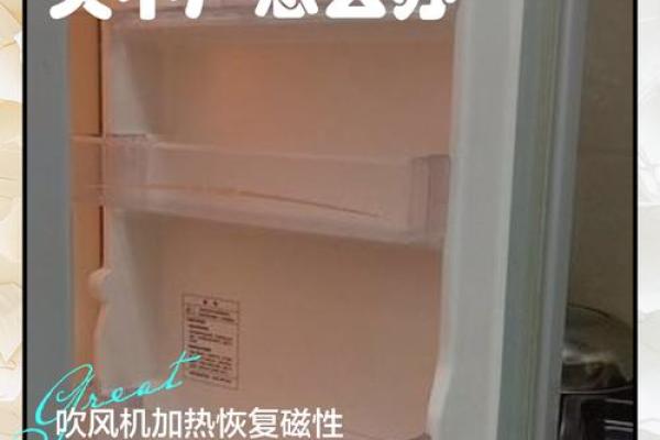 冰箱的门对房门风水对运势的不利观点解析 冰箱的门对房门风水对运势的不利观点解析