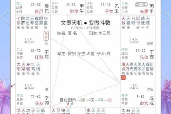 紫薇斗数辰戌宫