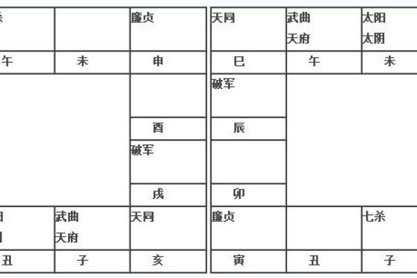 紫薇斗数辰戌宫