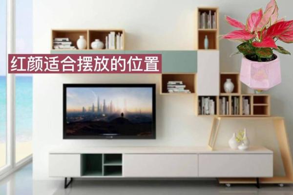 电视如何摆放,有什么风水讲究 电视如何摆放,有什么风水讲究